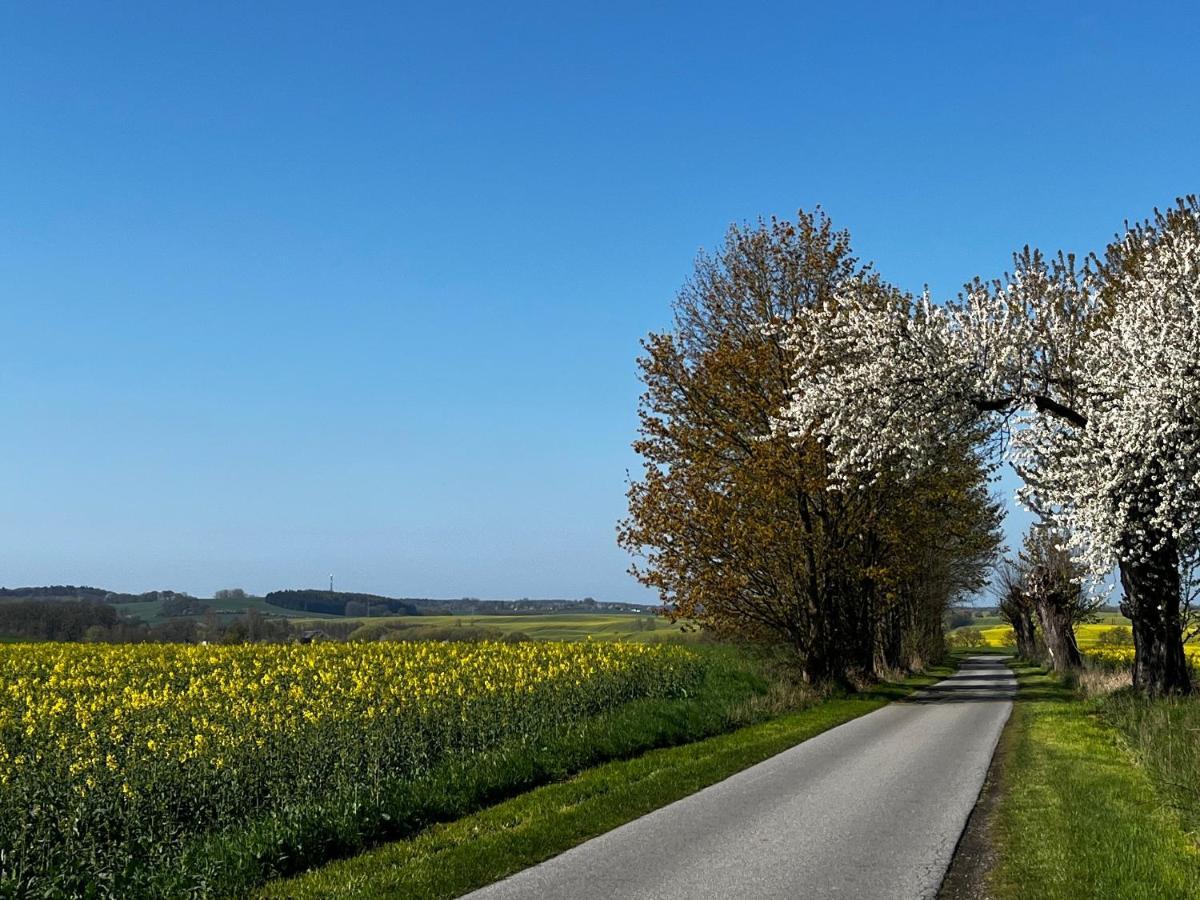Gut Manderow An Der Ostsee Hohenkirchen  Екстер'єр фото